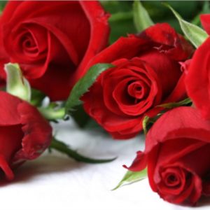 Bodas y Celebraciones Bodas y Celebraciones